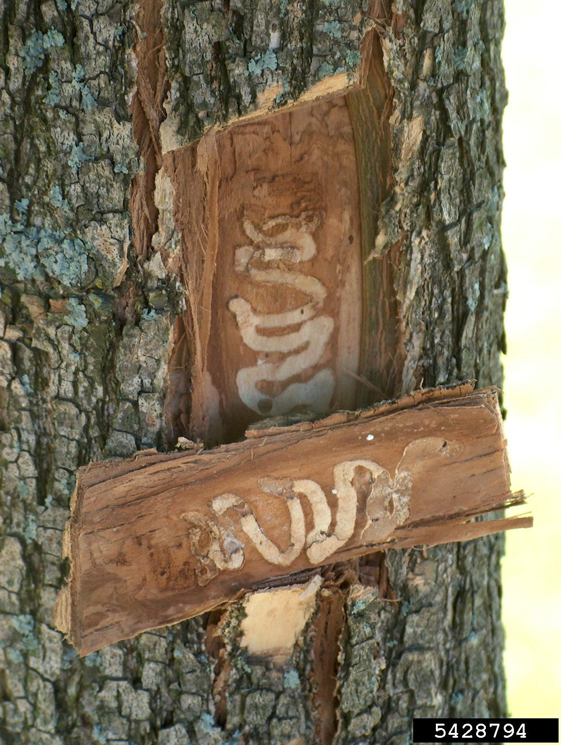 EAB Galleries photo by Jared Spokowsky, New York State Department of