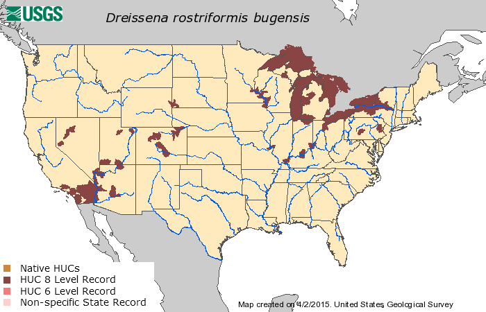 Zebra Mussel & Quagga Mussel - SLELO PRISM