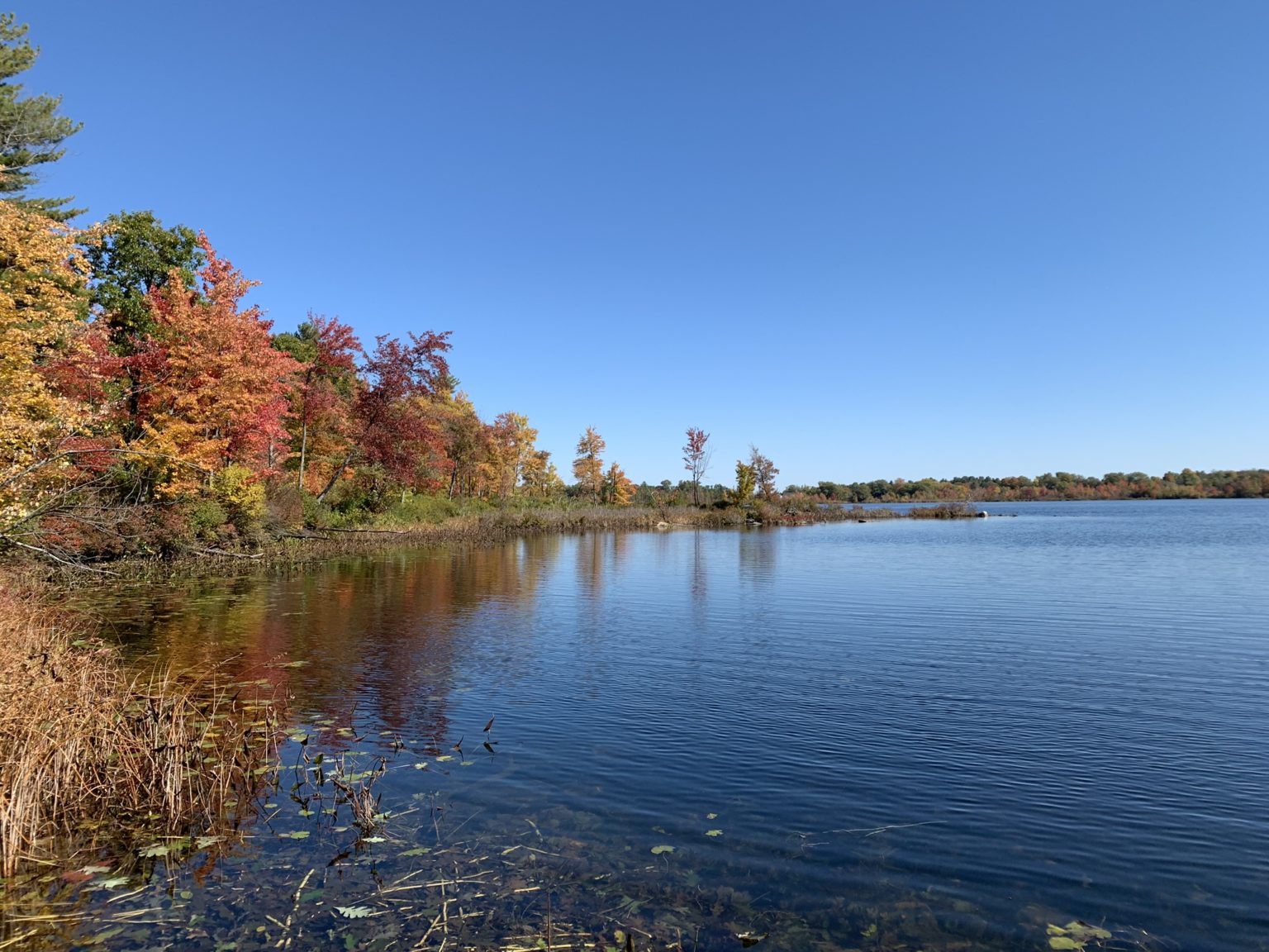 Mud Lake SLELO PRISM