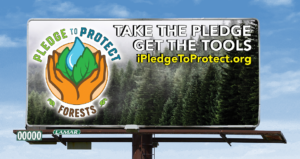 billboard image_protect forests