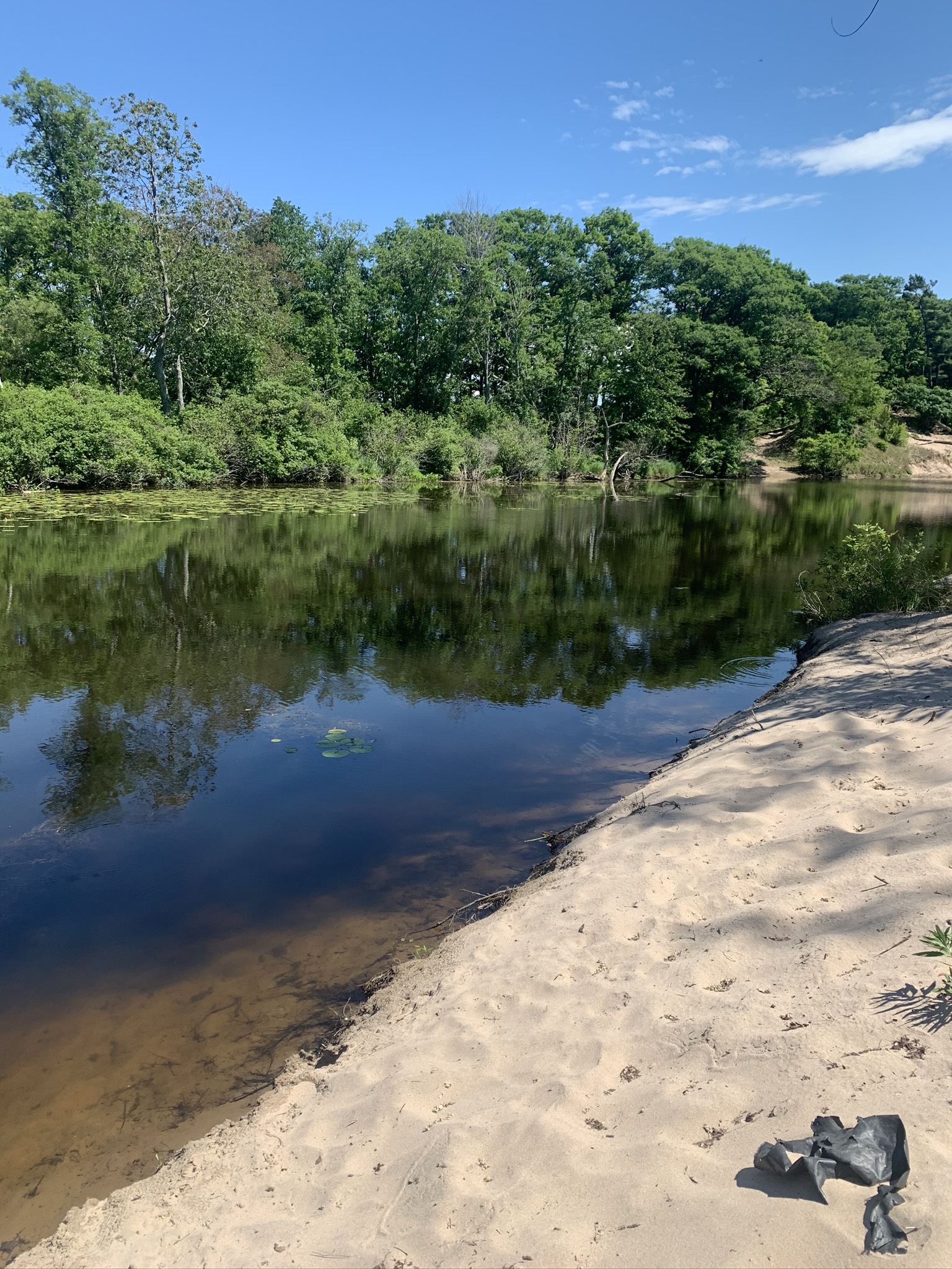 Deer Creek Marsh WMA SLELO PRISM