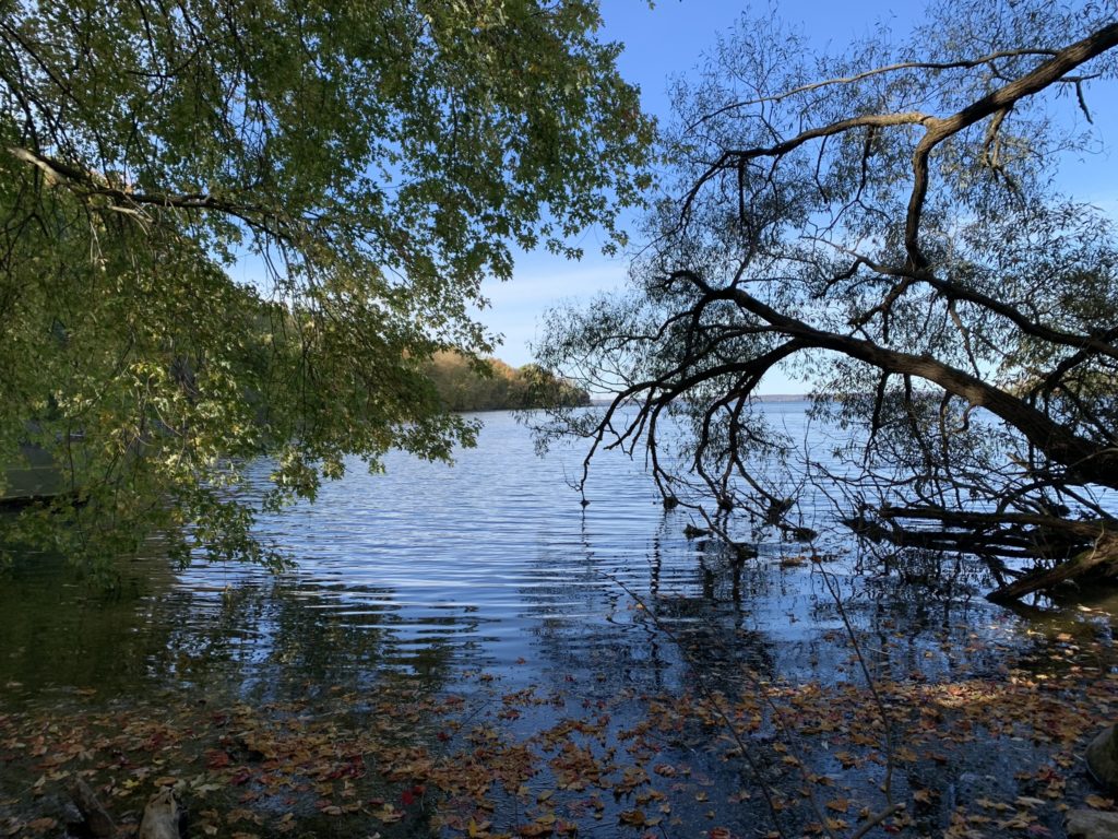 Oneida Lake & Three Mile Bay SLELO PRISM